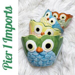 PIER 1 IMPORTS OWL NESTING MEASURING CUPS SET OF 4 HANDPAINTED CERAMIC